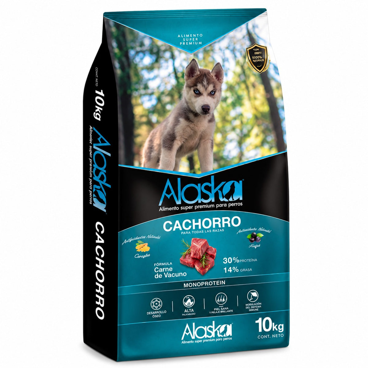 Alaska Cachorro