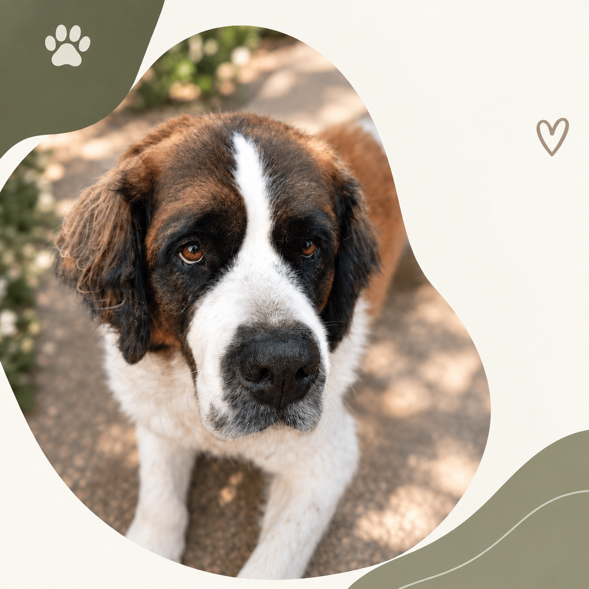 Luna — DULCE, TRANQUILA Y SIEMPRE LLENA DE AMOR