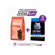Vitalcan | Vitalfun - Salmon Premium Gato Adulto + Arena